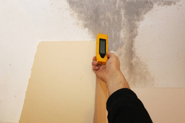 Best Post-Construction Mold Inspection  in Hope, IN