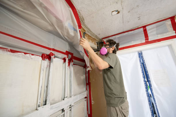 Best Real Estate Mold Inspection  in Hope, IN