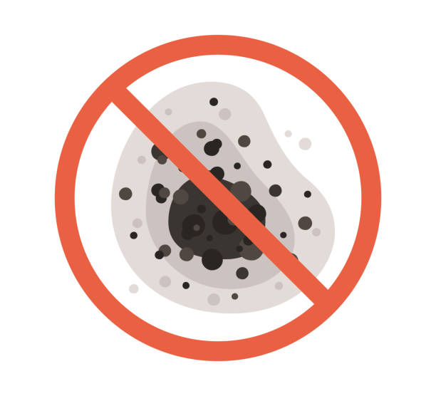 Best Mold Removal for HVAC Installations  in Hope, IN
