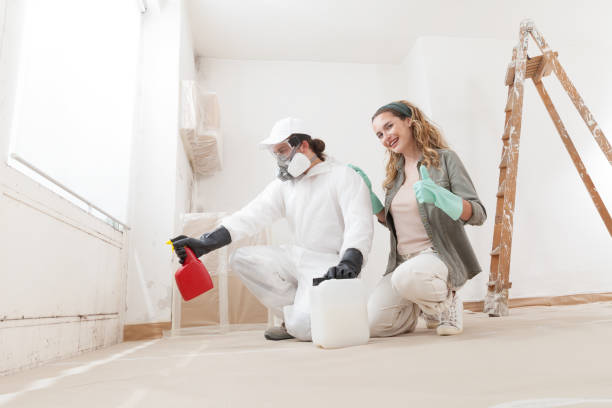 Mold Remediation for Rental Properties in Hope, IN