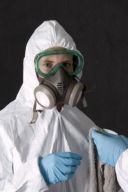 Best Environmental Consulting for Mold Prevention  in Hope, IN